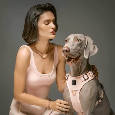 The NoMad Adjustable Luxe Harness - Sweetheart