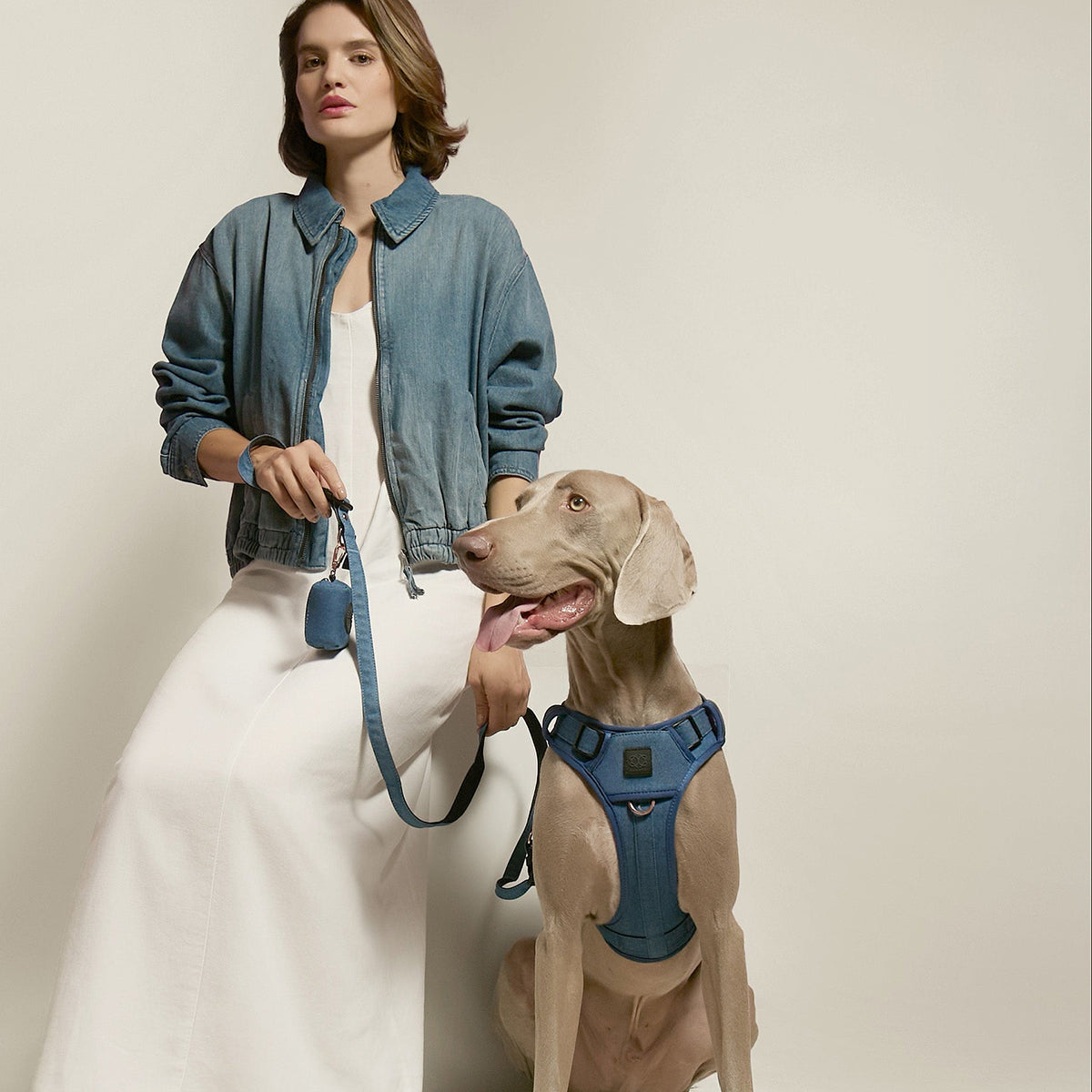 The NoMad Adjustable Luxe Harness - Denim