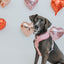 Dog Reversible Harness - Dolce Rose