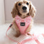 Dog Leash - Dolce Rose