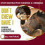 Don't Chew Dare! Horse Chewing Prevention