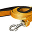 Padded Double Handle Dog Leash Warranted Replaceable Snap 1" X 6'
