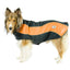 Double Layer Every Day Fleece Cold Weather Adventure Dog Sweater Coat with Reflective Stripes by CuteNfuzzy
