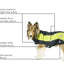 Double Layer Every Day Fleece Cold Weather Adventure Dog Sweater Coat with Reflective Stripes by CuteNfuzzy