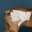 Glove & Go! Glove Grooming Wipes for Dogs & Cats