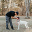 Dual Control Leash, 7'