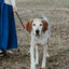 Dual Control Leash, 7'