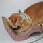 Cat Step-In Harness - Zest Friends