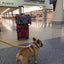 Mr. Peanut's Gold Series Standard Size Airline Compliant Pet Carrier