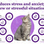 Purrfect Cat Calming Diffuser Kit with 2 Refills