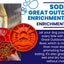 Great Outdoors eBowl - Slow Feeder Dog Bowl & Enrichment | USA Made
