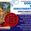 Santa Christmas eBowl Deep Slow Feeder Dog Bowl for Enrichment | USA Made