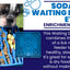 Waiting Dogs eTray - Shallow Slow Feeder Bowl for Enrichment | USA Made