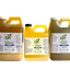 4-HAIRLESS PETS SENSITIVE SHAMPOO, WATERLESS & CONDITIONER KIT