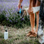 Thrush & Whiteline Hoof Dressing