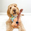 Guitar Squeaky Dog Toy – Plush Crinkle Dog Toy for Medium & Large Dogs, Durable Musical Dog Toy for Tug, Fetch & Birthday Gifts