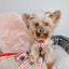 Dog Leash - Picnic Fur Two