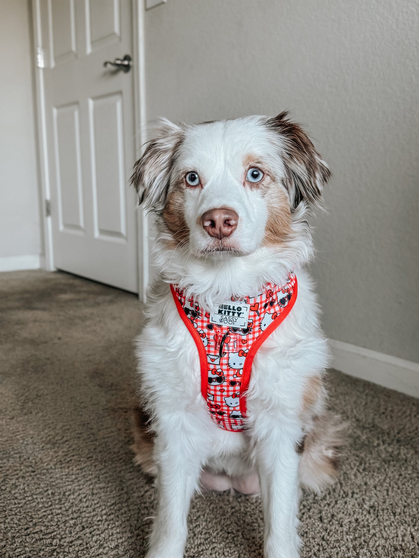 Dog Adjustable Harness - Hello Kitty® Red Classic