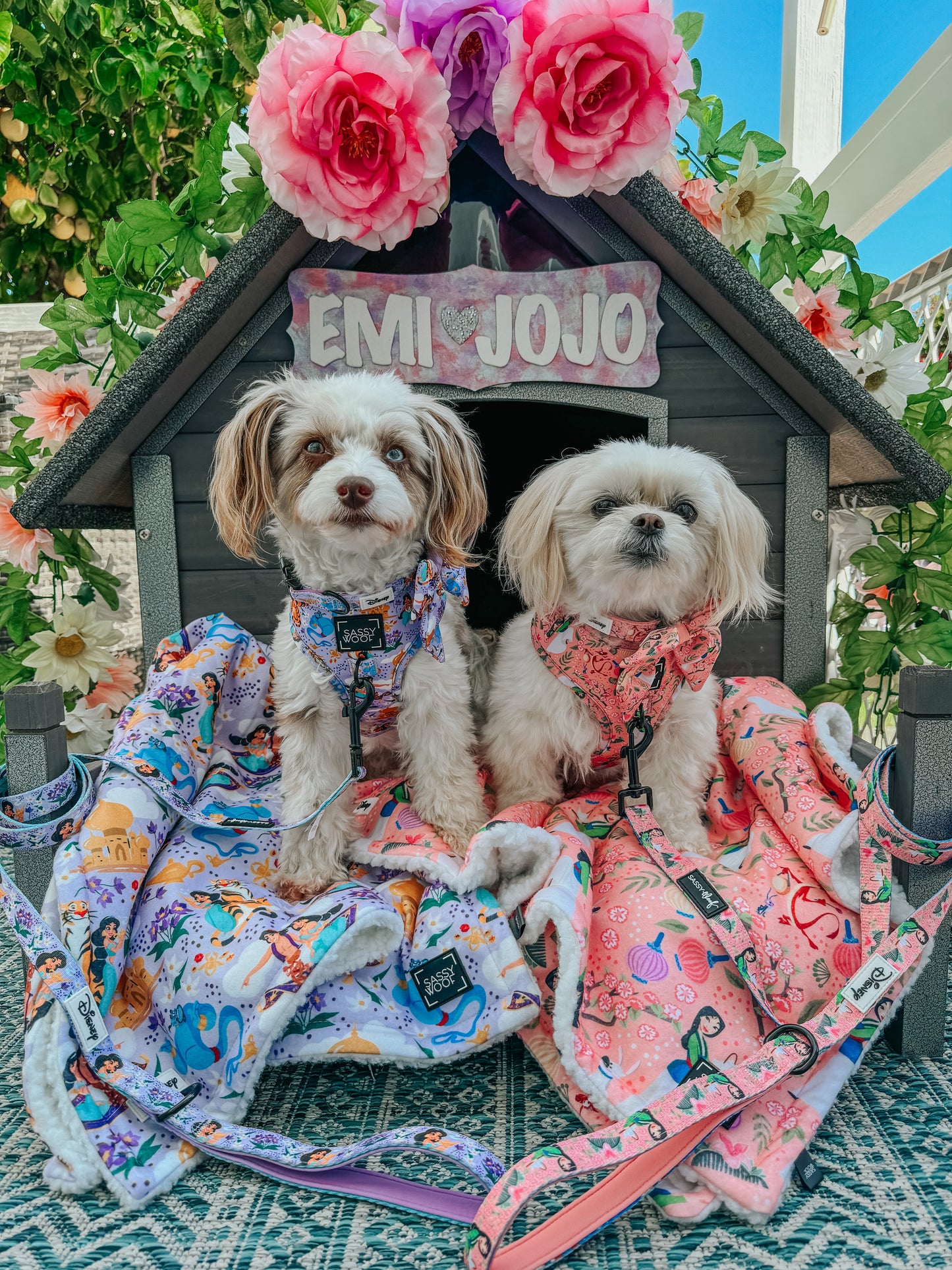 Dog Adjustable Harness - Disney's Jasmine