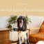 NO PULL ACTIVE  PET HARNESS - APRICOT