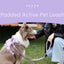 PADDED  ACTIVE  PET LEASH  - MINT PURPLE