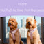 NO PULL ACTIVE  PET HARNESS - MINT PURPLE
