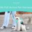 NO PULL ACTIVE  PET HARNESS - MINT GREEN