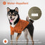 BOWERY RAINCOAT - ORANGE