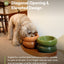 Soufflé Pet Bowl - Avocado Green