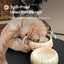 Puff Pet Bowl - Gradient Caramel