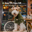 Eskimo Fuzzy Sweater - Green