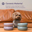 Soufflé Pet Bowl - Purple
