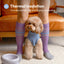 Pet Sweater Vest - Ice Blue