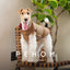 Reversible Dog Vest Jacket -  Red Brown