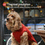 Pet Sweater Vest - Red