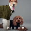 GLACIER PET SWEATER - OLIVE GREEN