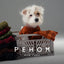 Pretzel Pet Sweater - Olive Green