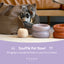 Soufflé Pet Bowl - Purple