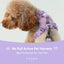 NO PULL ACTIVE  PET HARNESS - MINT PURPLE