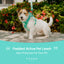 PADDED  ACTIVE  PET LEASH  - MINT GREEN