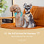NO PULL ACTIVE  PET HARNESS - APRICOT