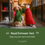 Pet Sweater Vest - Green