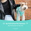 NO PULL ACTIVE  PET HARNESS - MINT GREEN