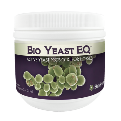 Bio Yeast EQ
