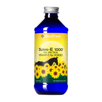 Sunn-E 1000