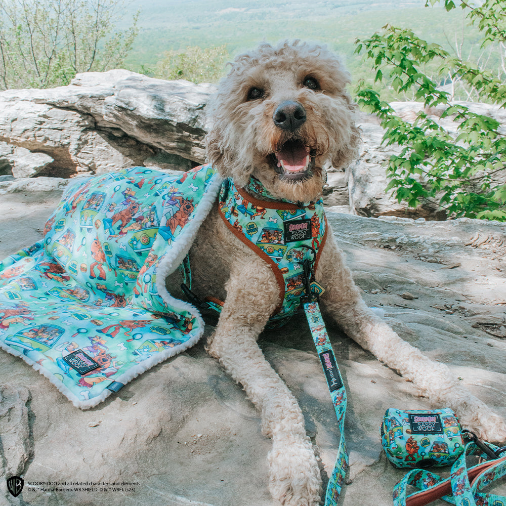 Dog Leash - Scooby-Doo™