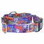 Love Graffiti Blue Buckle Martingale Dog Collar – EarthStyle