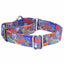 Love Graffiti Blue Martingale Dog Collar – EarthStyle