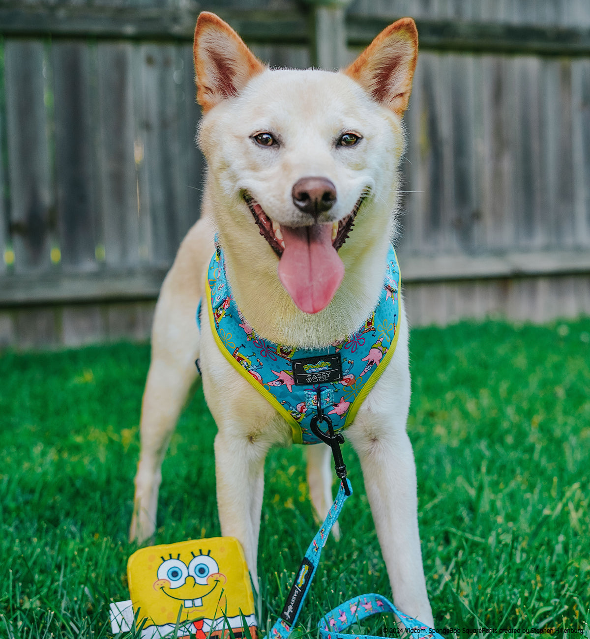 Dog Adjustable Harness - SpongeBob SquarePants™ Jelly Fishin'
