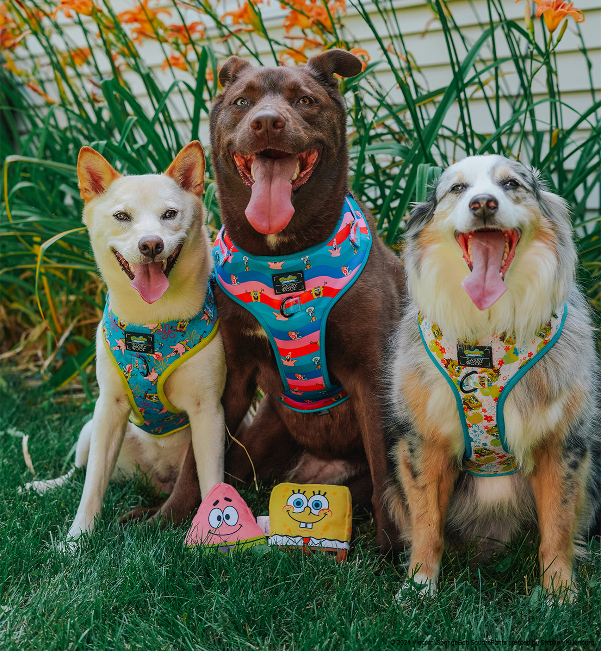Dog Adjustable Harness - SpongeBob SquarePants™ and Friends